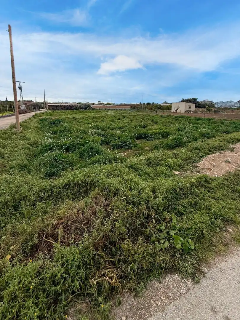 Rural land for sale in Archena - Calle Polígono U2 el Ramel, imagen 3
