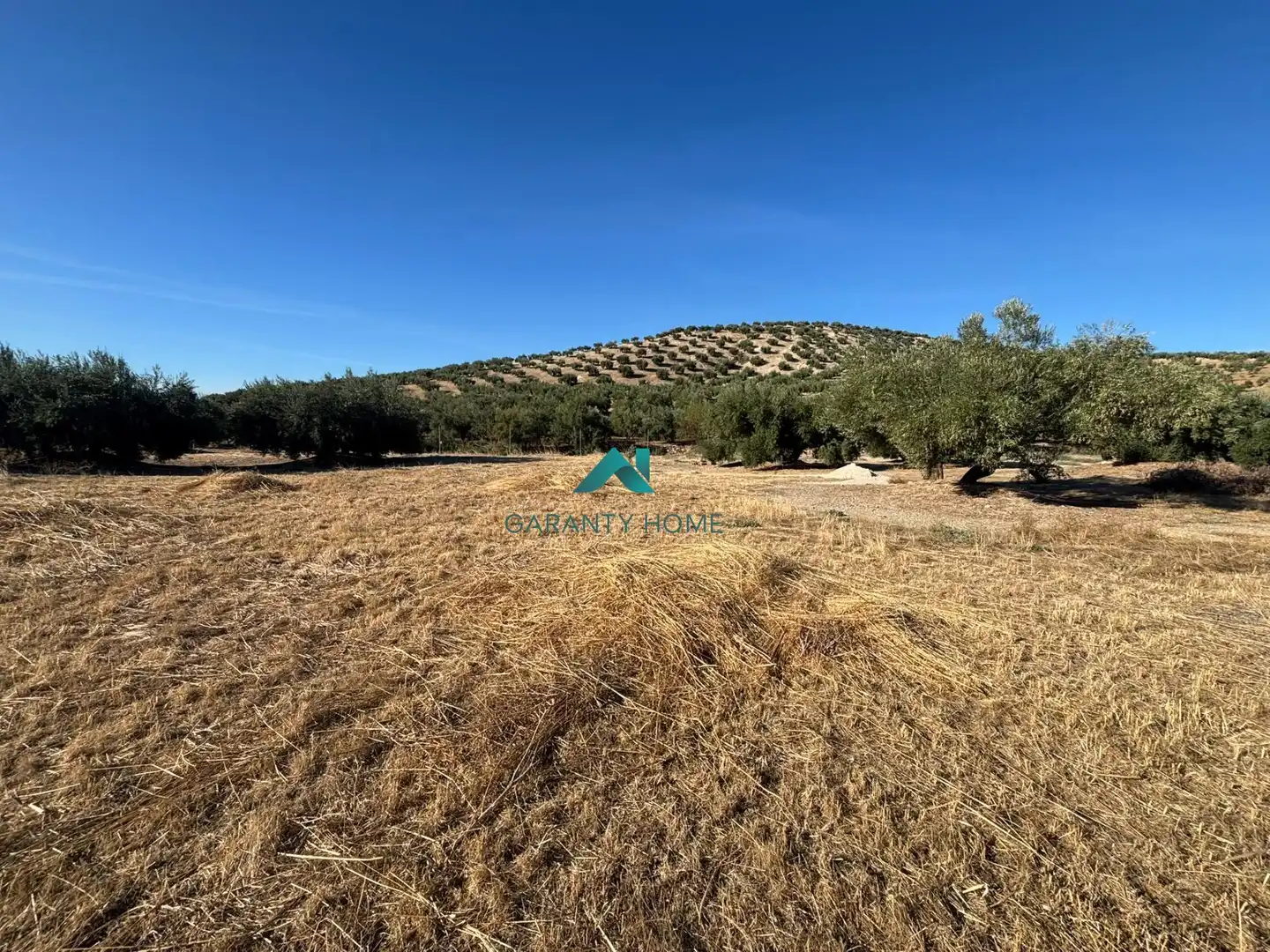 Terreno rústico en venta en Torredonjimeno, imagen 3
