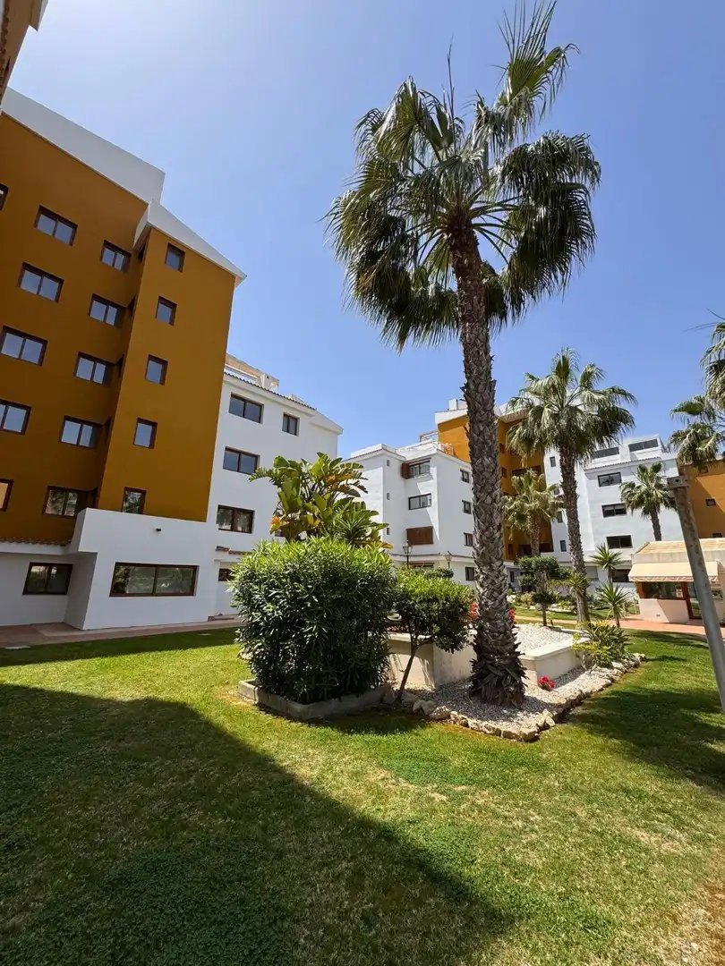 Apartment with pool for sale in PUNTA PRIMA, imagen 30