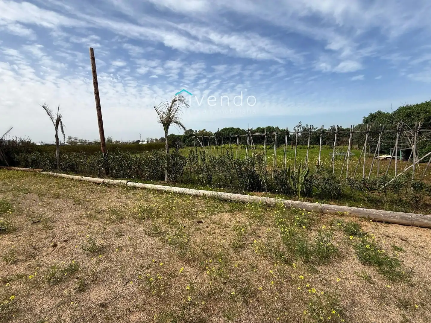 Terreny en venda en Conil de la Frontera