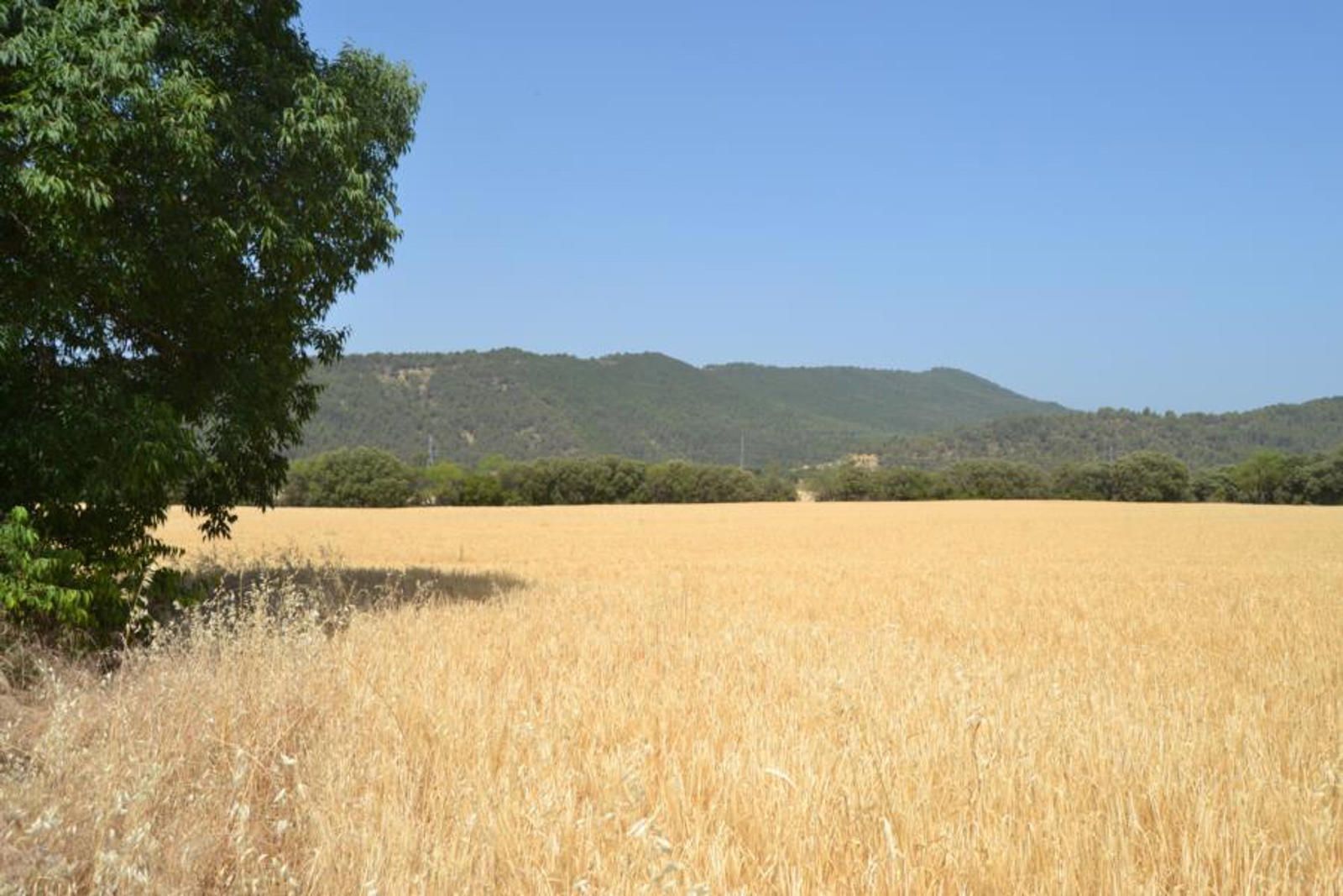 House or chalet for sale in Las Peñas de Riglos