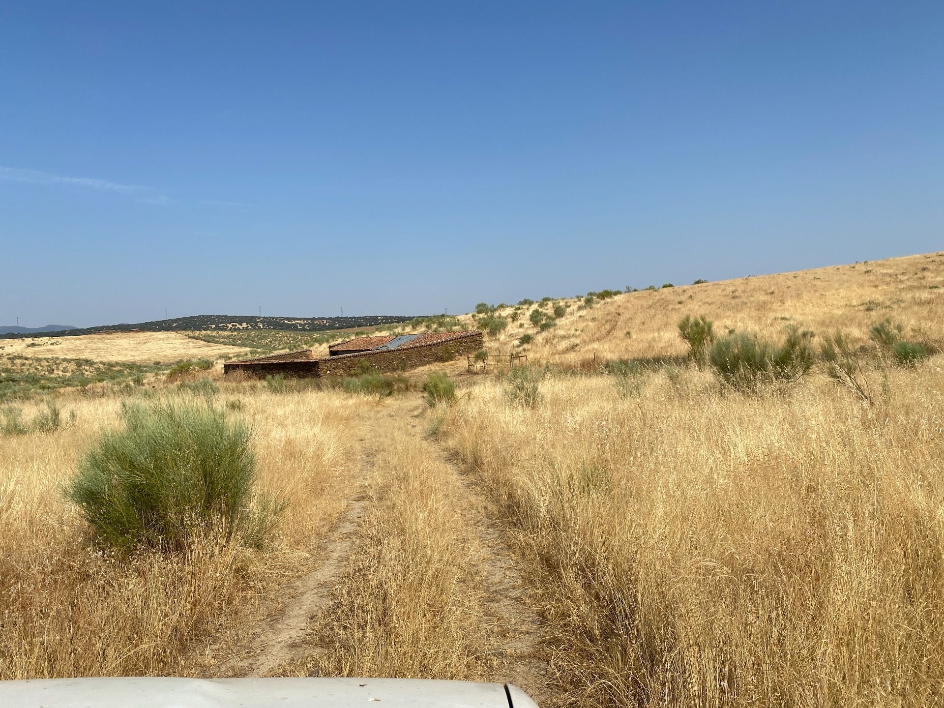 Land for sale in Aldeanueva de San Bartolomé