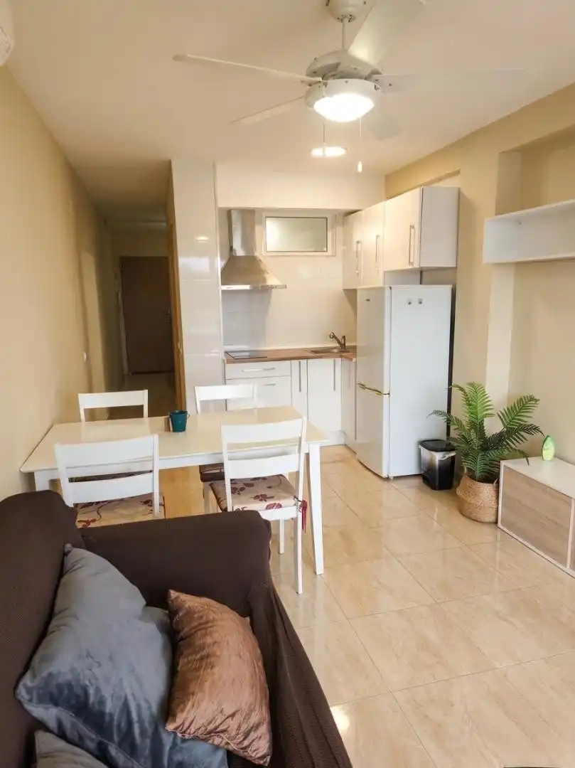 Kitchen of Apartments for rent in Guardamar del Segura  with Air Conditioner, Heating and Furnished