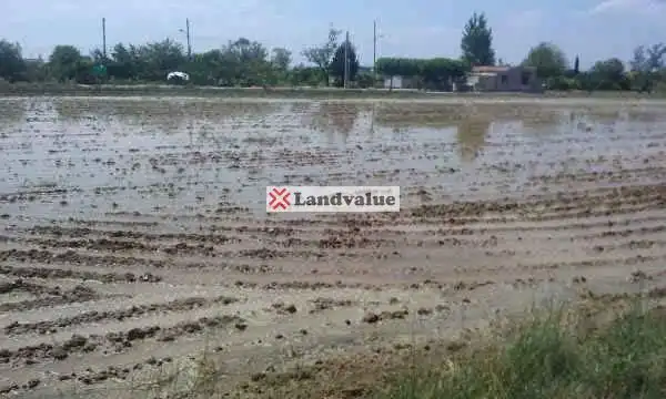Land for sale in Sant Jaume d'Enveja