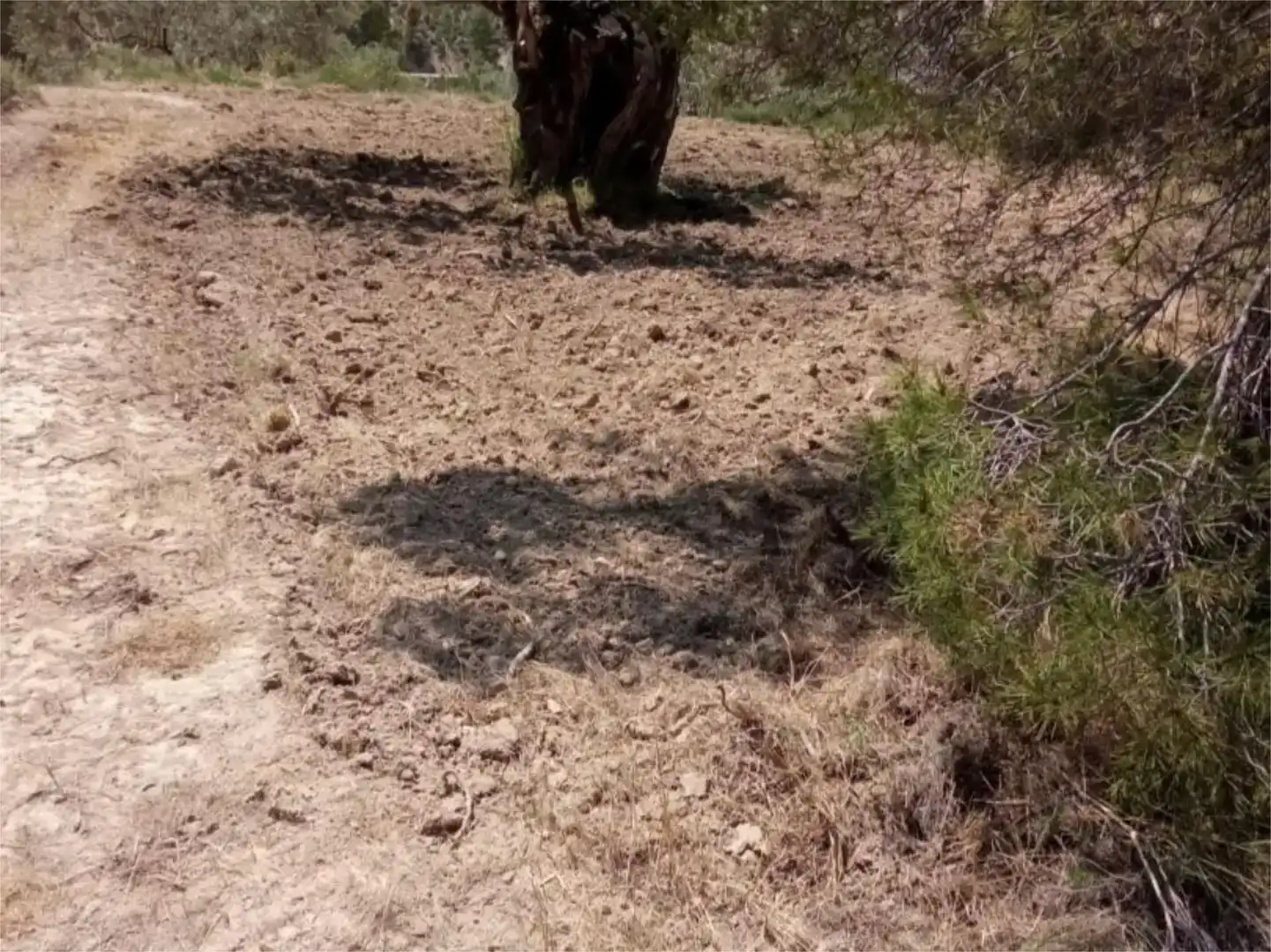 Terreno en venta en Busot