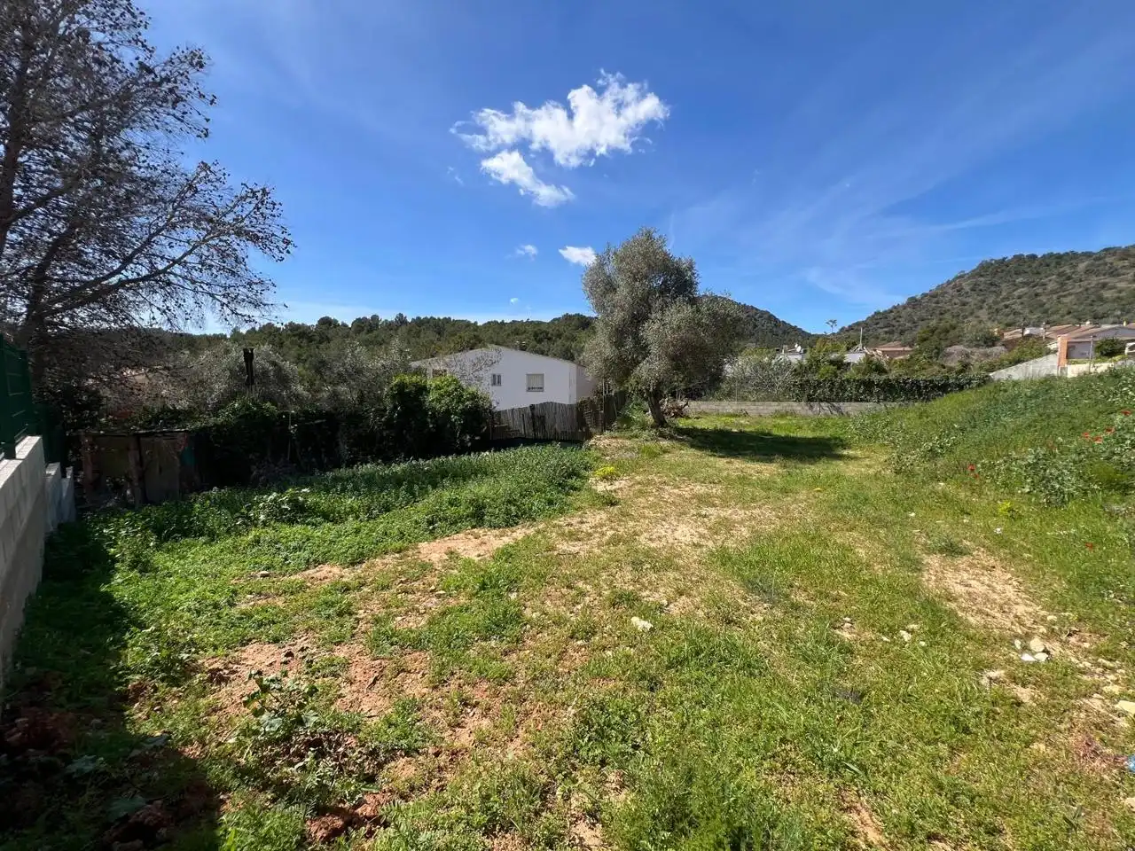 Terrenos y solares en venta en Nou Vendrell, imagen 13