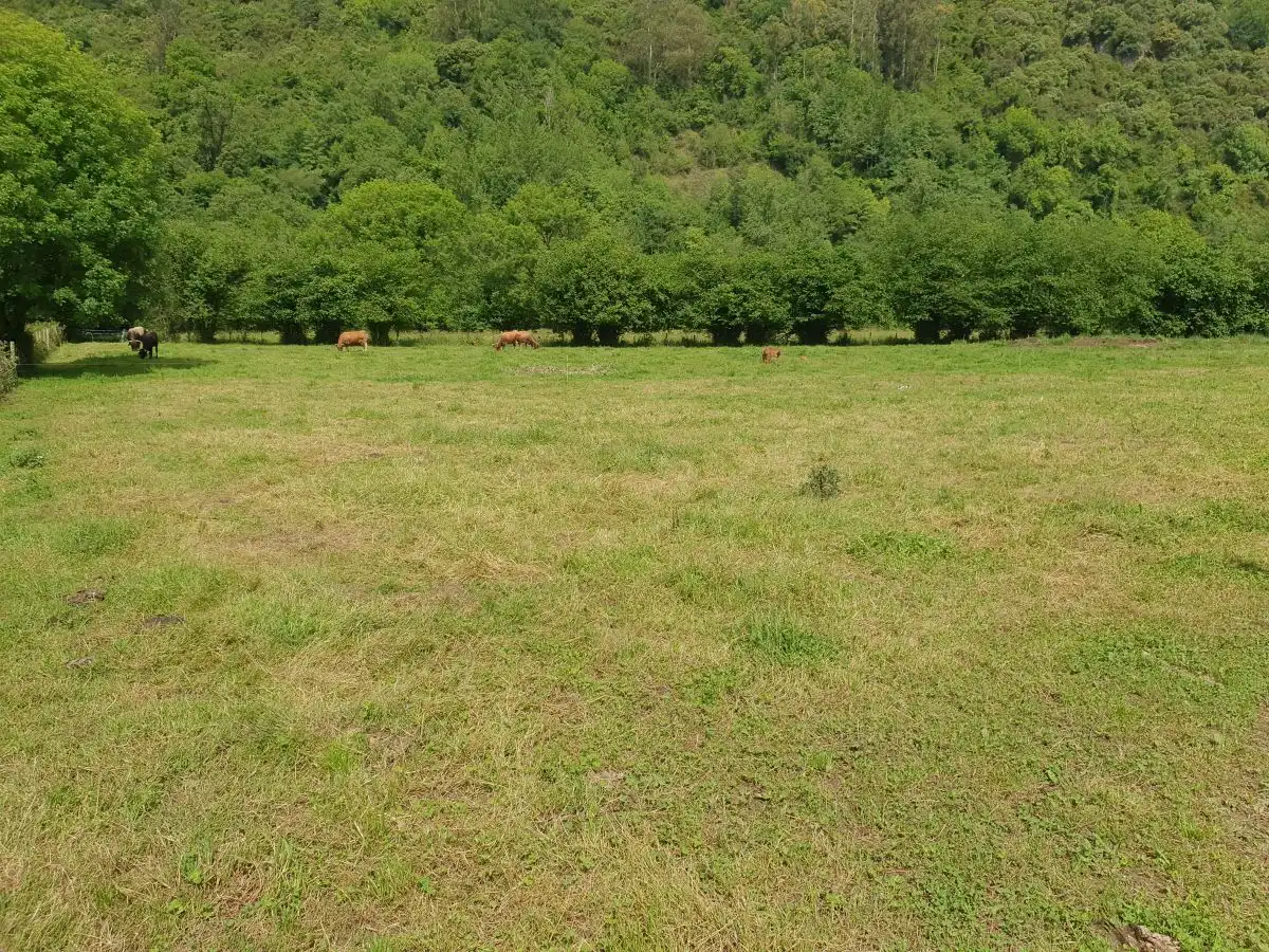 Rustikales Grundstück zum Verkauf in San Claudio - Trubia - Las Caldas, imagen 5