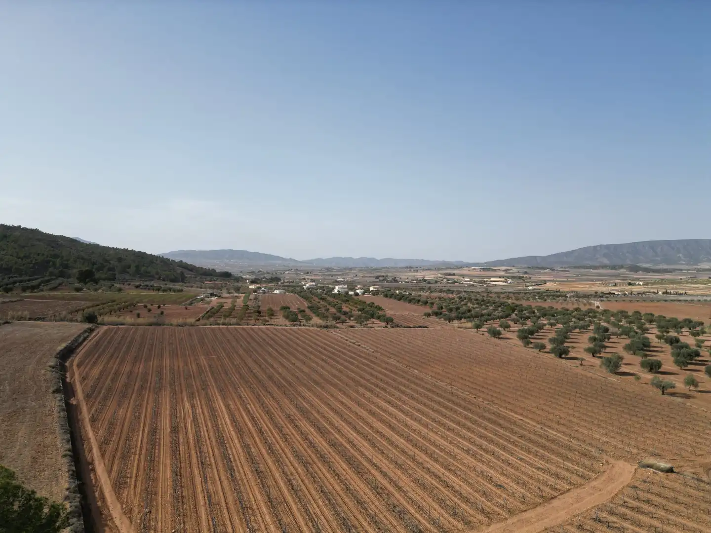 Residential land for sale in El Pinós / Pinoso, imagen 7