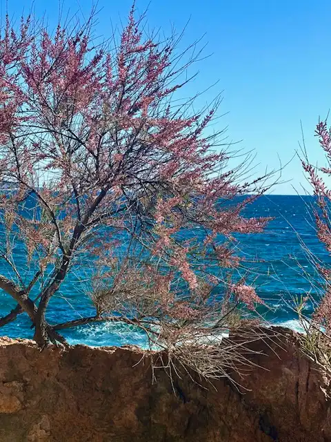 Vista exterior de Piso en venta en Sant Feliu de Guíxols con Calefacción, Amueblado y Horno