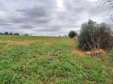Terrain rustique à vendre à Centre - Sant Oleguer