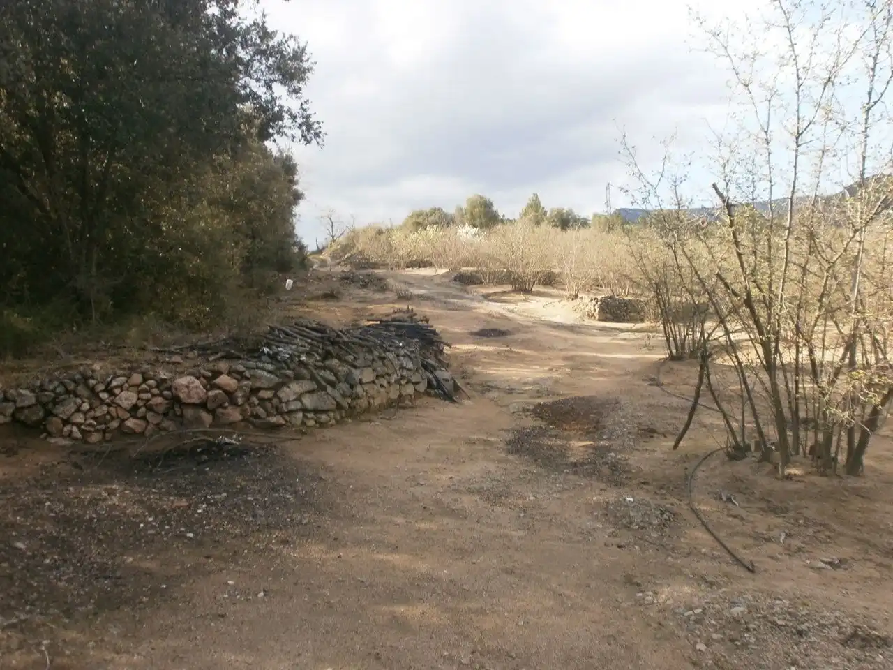 Land for sale in Vilaplana, Tarragona