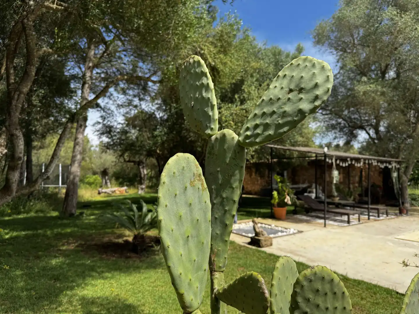 Maison rustique à vendre à Sencelles, imagen 34