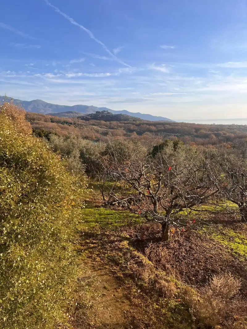 Casa o chalet en venta en Cuacos de Yuste con Piscina