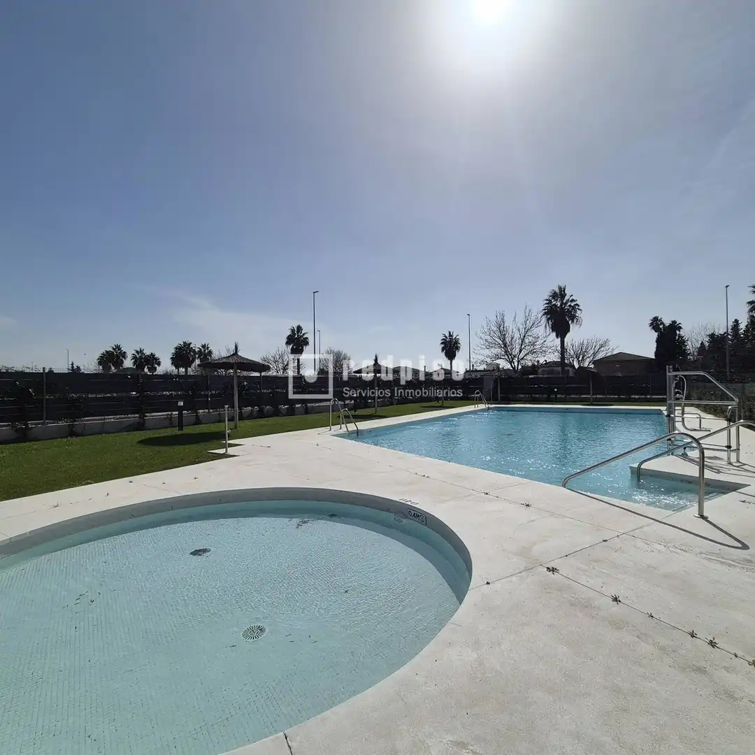 Swimming pool of Attic for sale in Jerez de la Frontera  with Terrace