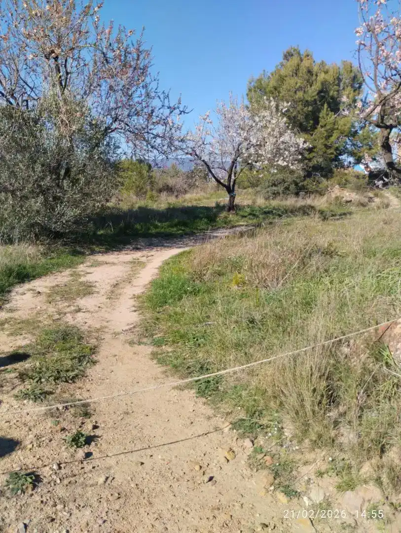 Finca rústica en venda en Llucena / Lucena del Cid