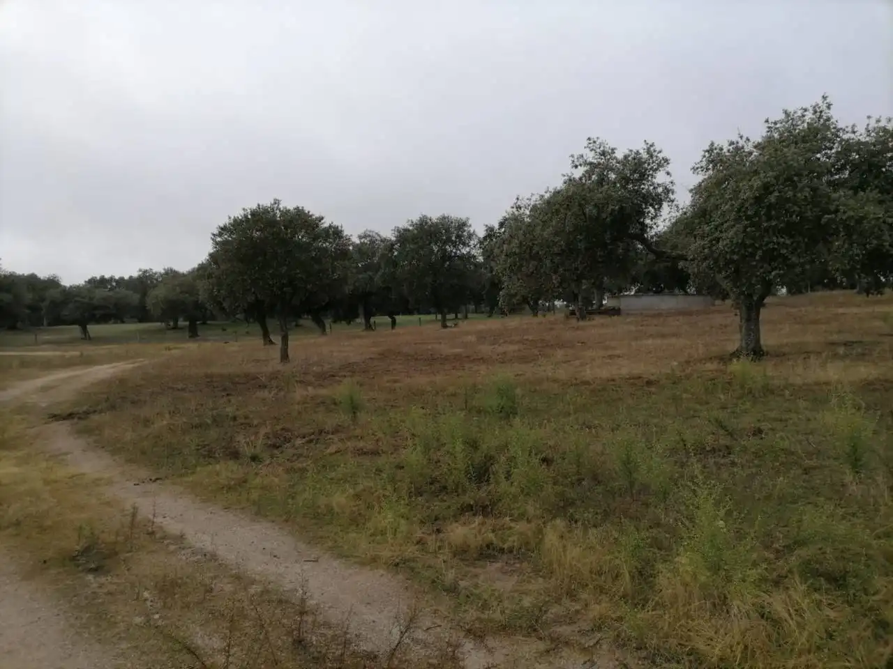 Terreno en venta en Poligono 1, La Alameda de Gardón