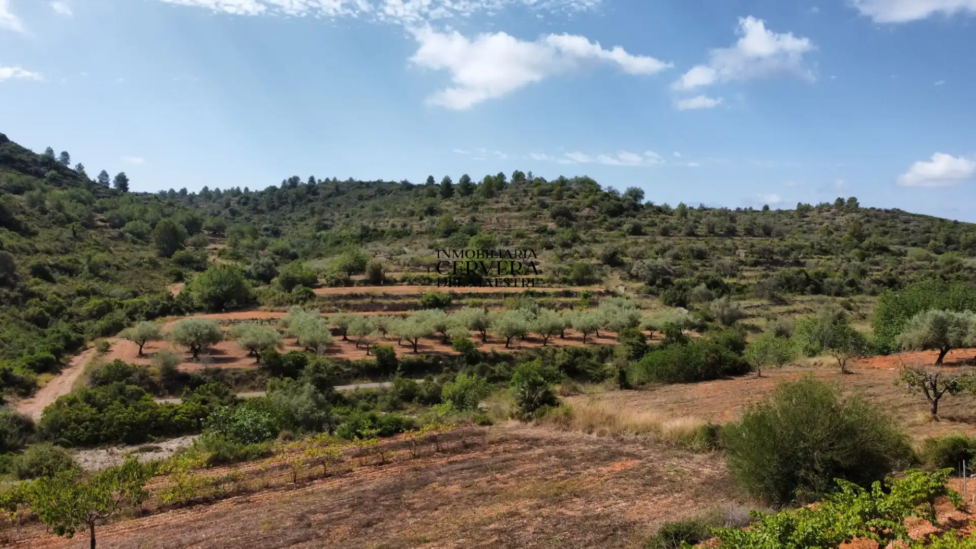 Terreno rustico in vendita a Cervera del Maestre, imagen 18