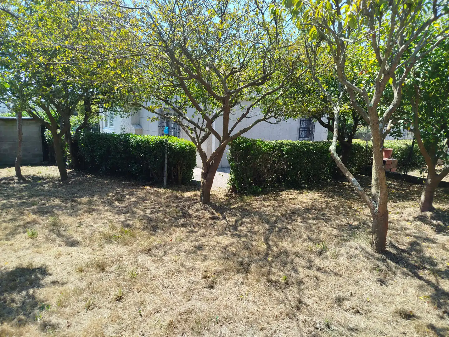 Casa o xalet en venda a Lugar de Rañobre, Oseiro