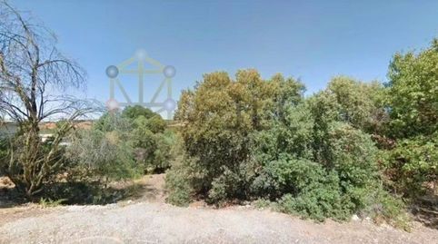 Foto 2 de Residencial en venta en Calle Calle de Los Enebros, Valdeaveruelo, Guadalajara
