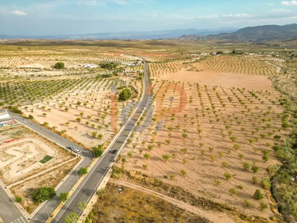 Rural land for sale in Oria, imagen 4