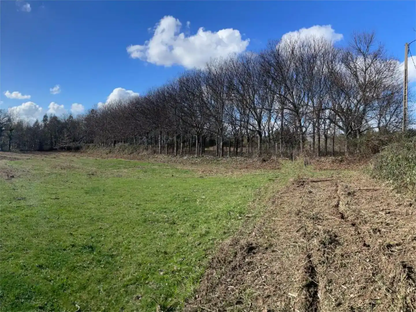 Land for sale in Covelo