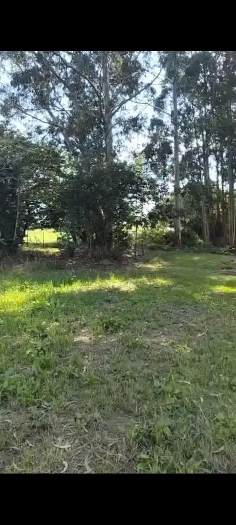 Finca rústica en venta en Valdáliga