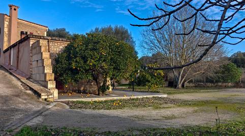 Photo 2 of Country house to rent in De Son Vives, Sant Llorenç des Cardassar, Illes Balears