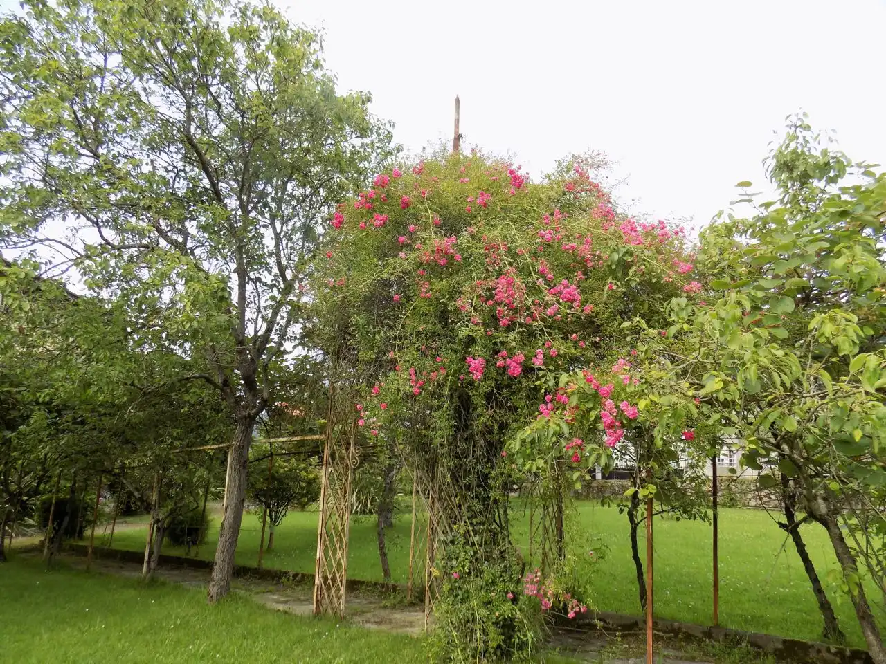 House with garden for sale in Pravia, imagen 9
