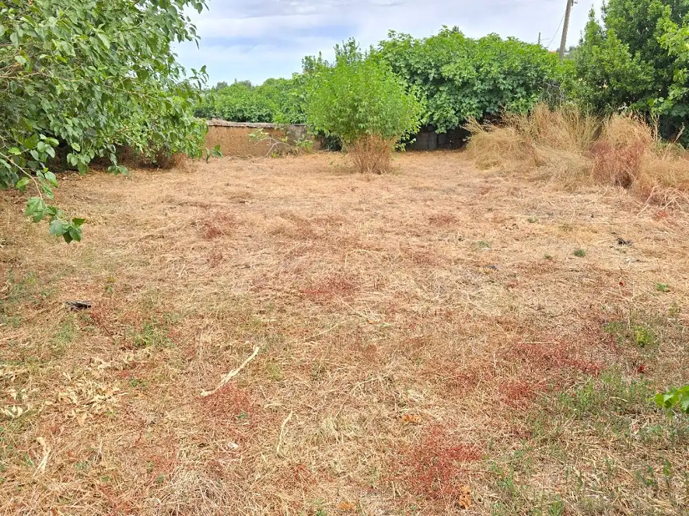 Casa o chalet en venta en Aliseda