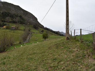 Terreni e lotti in vendita a Cangas de Onís