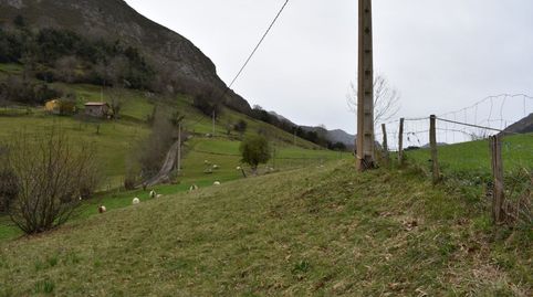 FINCA EDIFICABLE A 15 KM DE CANGAS DE ONIS