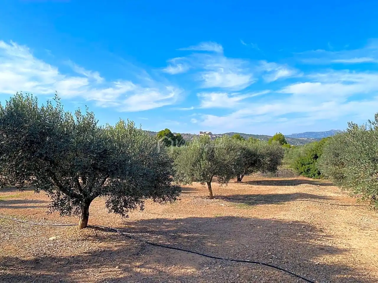 Rural land for sale in Partida Pedres