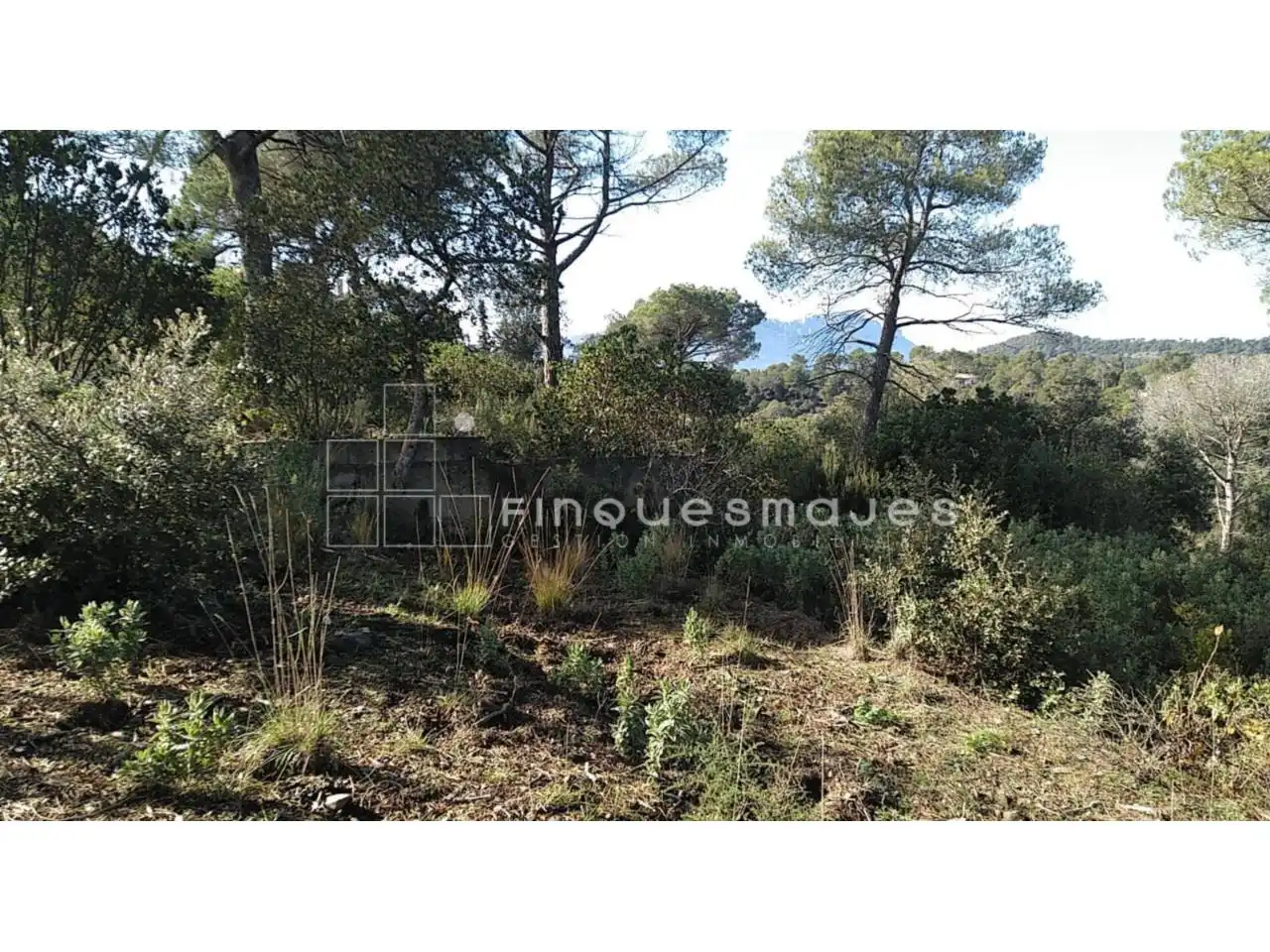 Terreno residencial en venta en Vacarisses, imagen 15