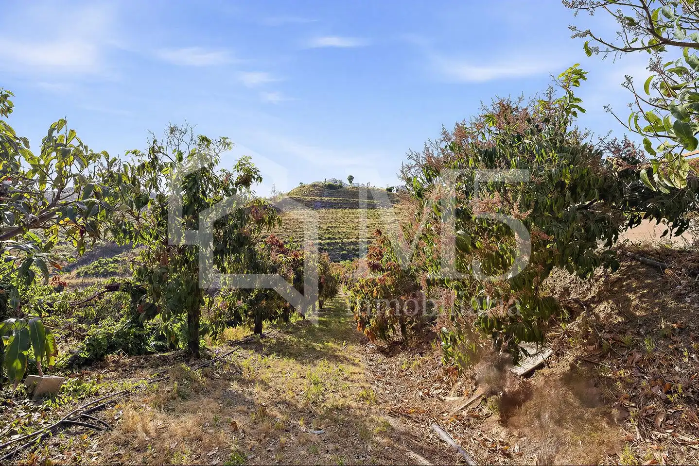 Country house zum Verkauf in Vélez-Málaga mit Klimaanlage, Privatgarten und Terrasse