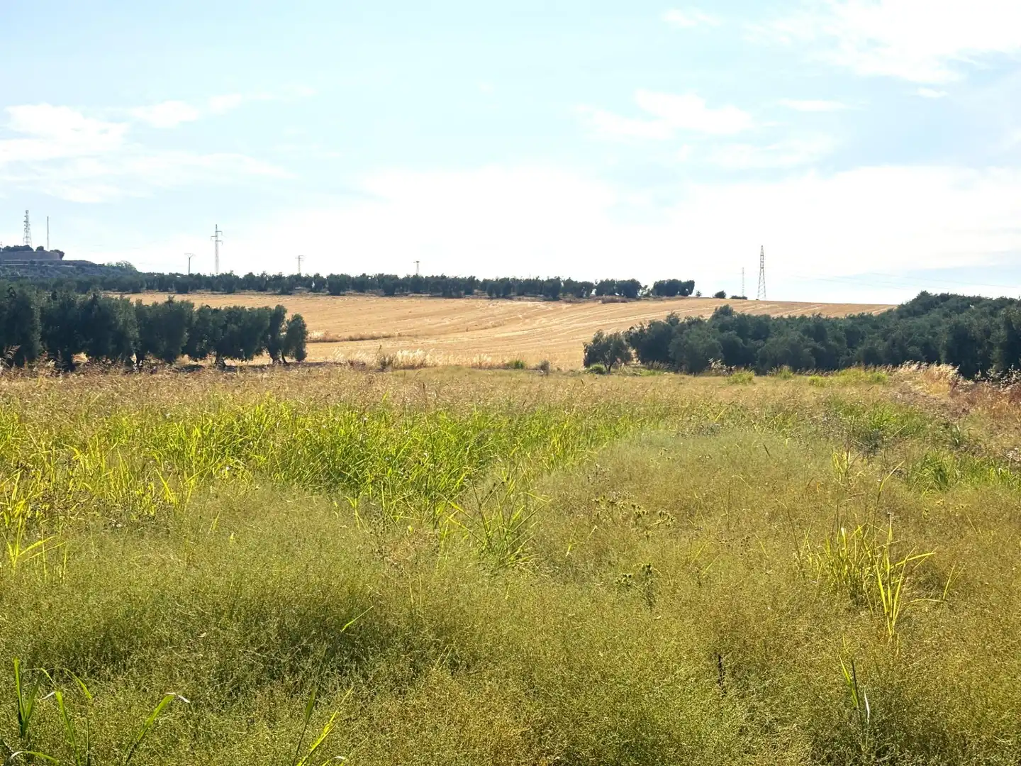 Rural land for sale in Valencina de la Concepción, imagen 4