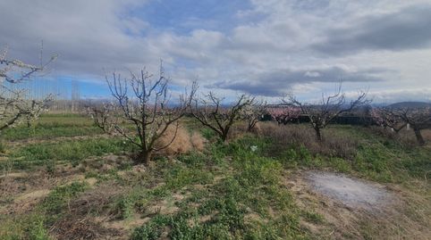 CASA Y PISCINA SOBRE FINCA RUSTICA, immagine 5