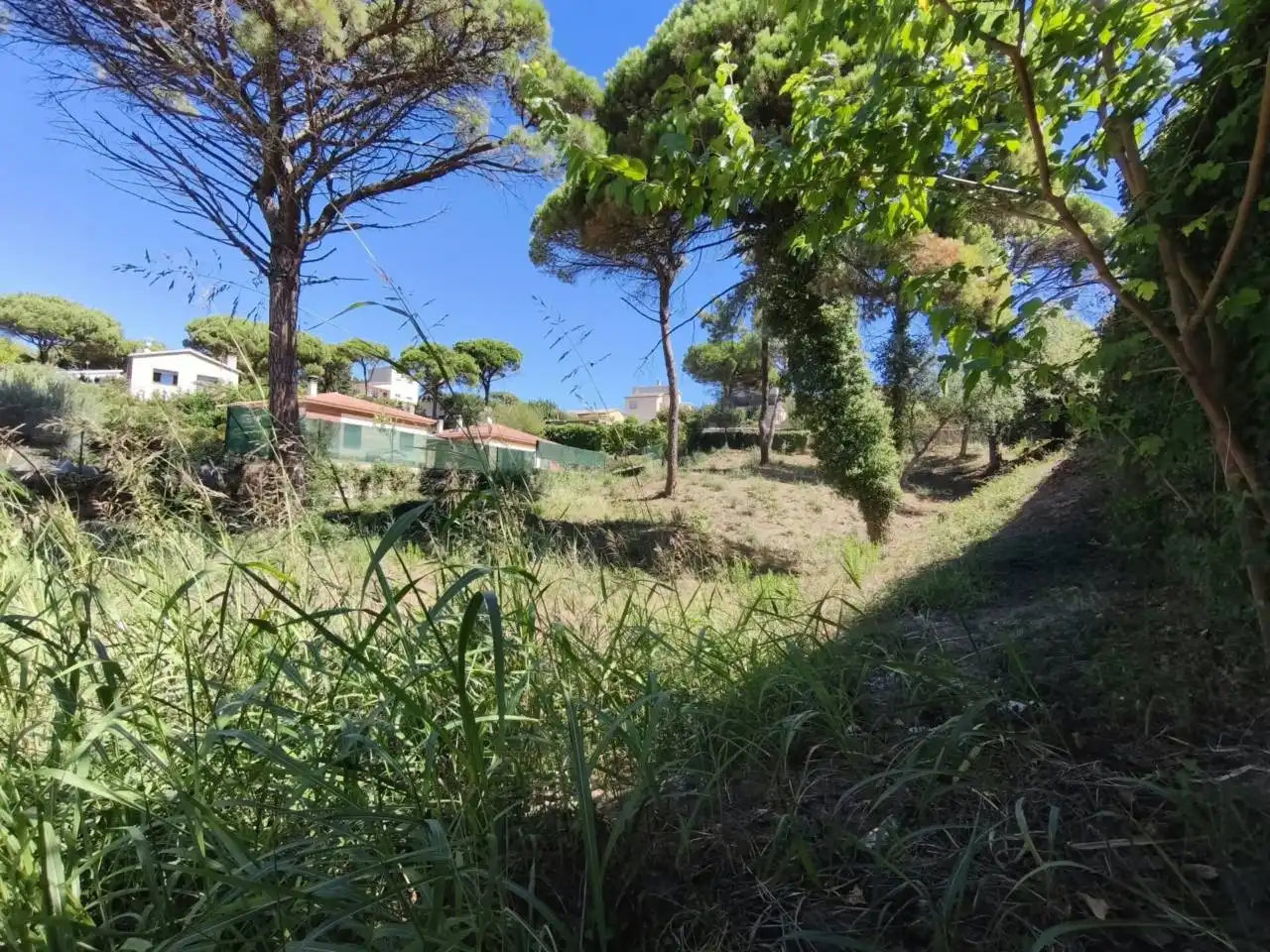 Terreny residencial en venda a Montbarbat, imagen 5