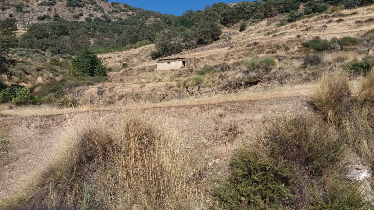Finca rústica en venta en Soportújar