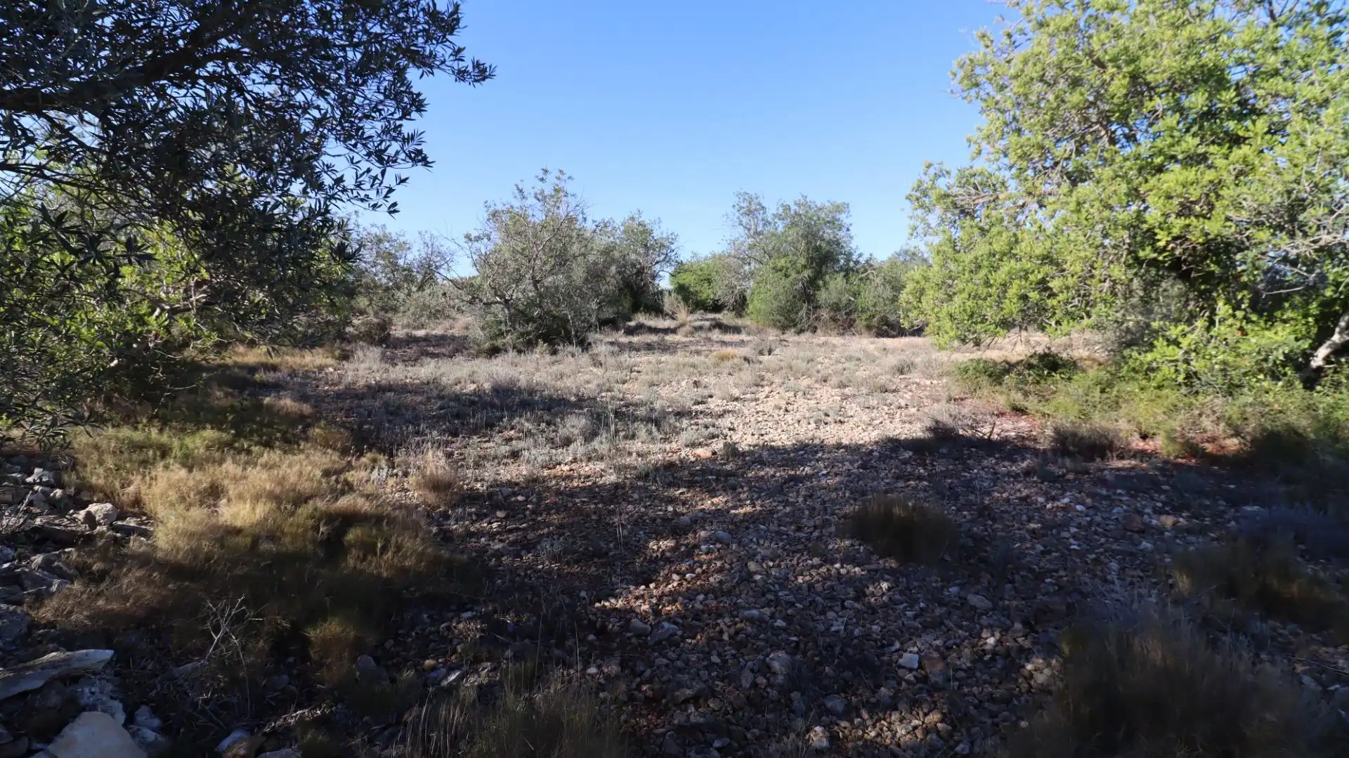 Rural land for sale in Partidas de interior - Zona Rústica, imagen 7