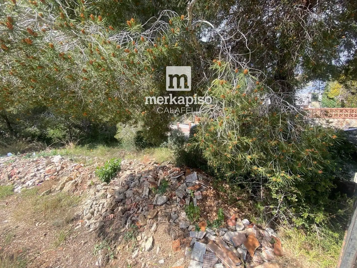 Terreny rústic en venda a Valldemar - Montmar, imagen 23