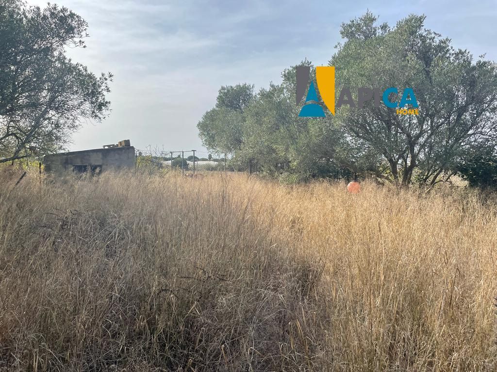 Terreno en venta en Conil de la Frontera