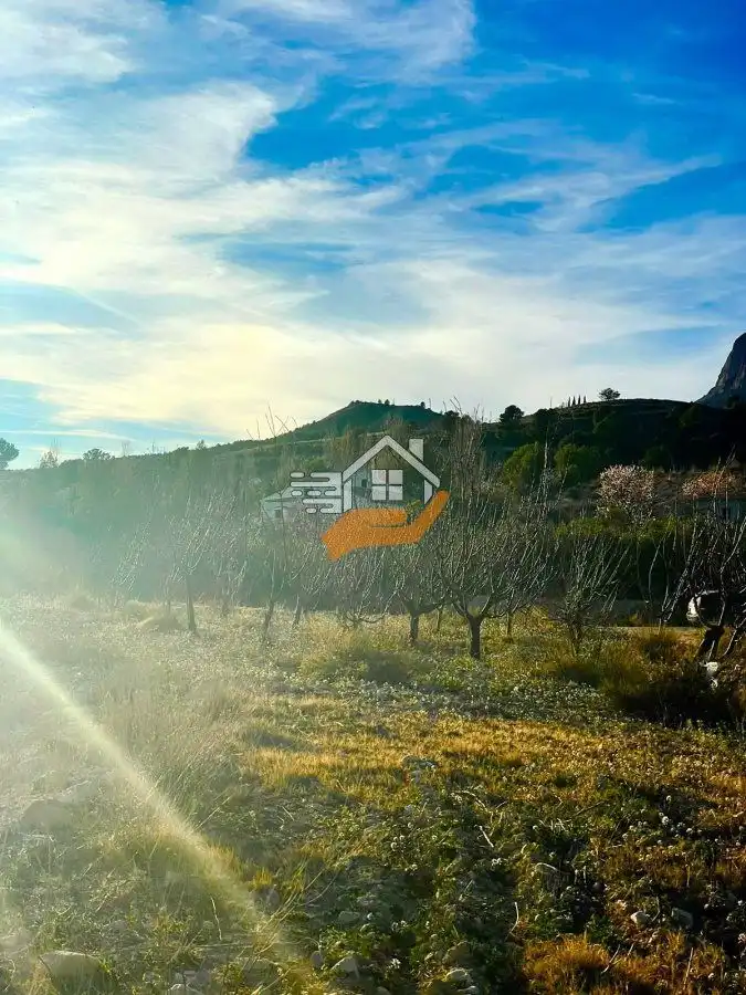 Residential land for sale in Vélez-Rubio, imagen 13
