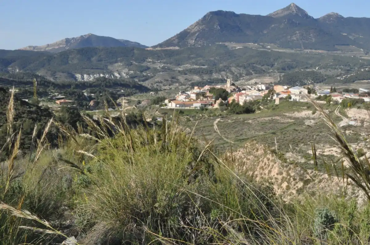 Vista exterior de Terreno industrial en venta en Tibi