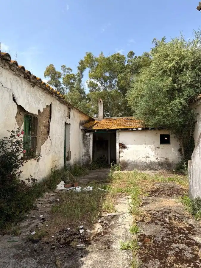 Vista exterior de Finca rústica en venta en Jimena de la Frontera con Terraza