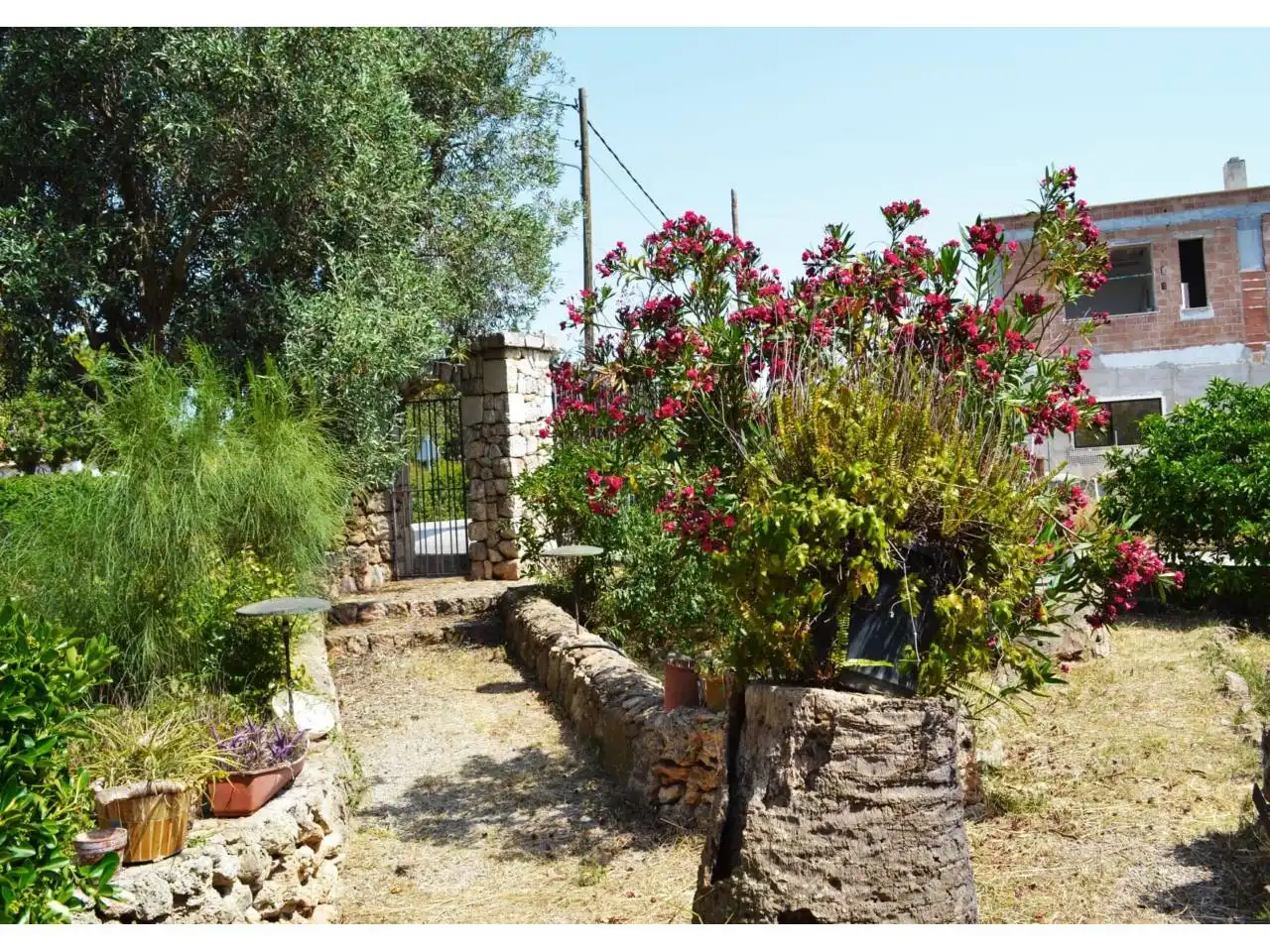 Jardín de Casa o chalet en venta en  Palma de Mallorca con Jardín privado y Terraza