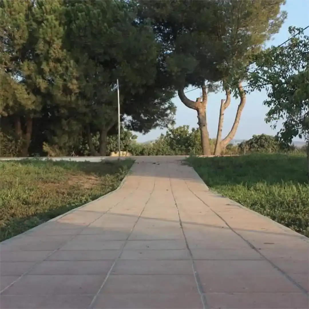 Finca rústica en venda en Lebrija amb Aire condicionat, Jardí privat i Traster