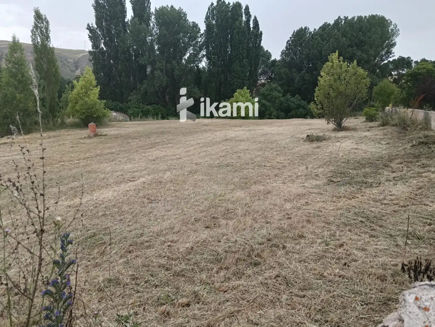 Terreno en venta en Sepúlveda