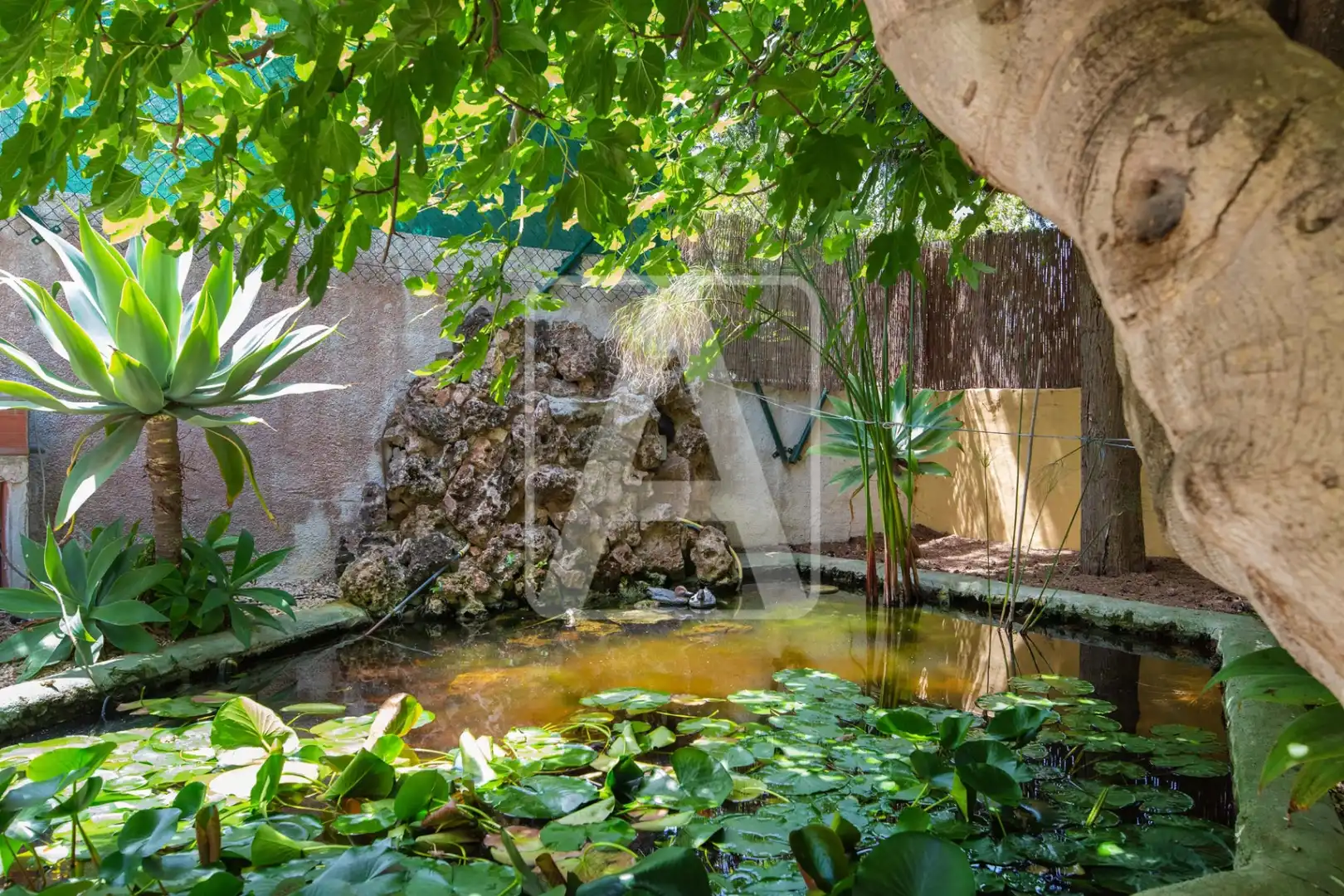 Chalet con piscina en venta en La Viña - Montemar - San Jaime, imagen 65