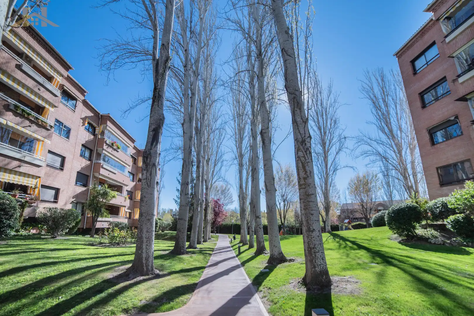 Piso con piscina en venta en Calle Solano, imagen 37