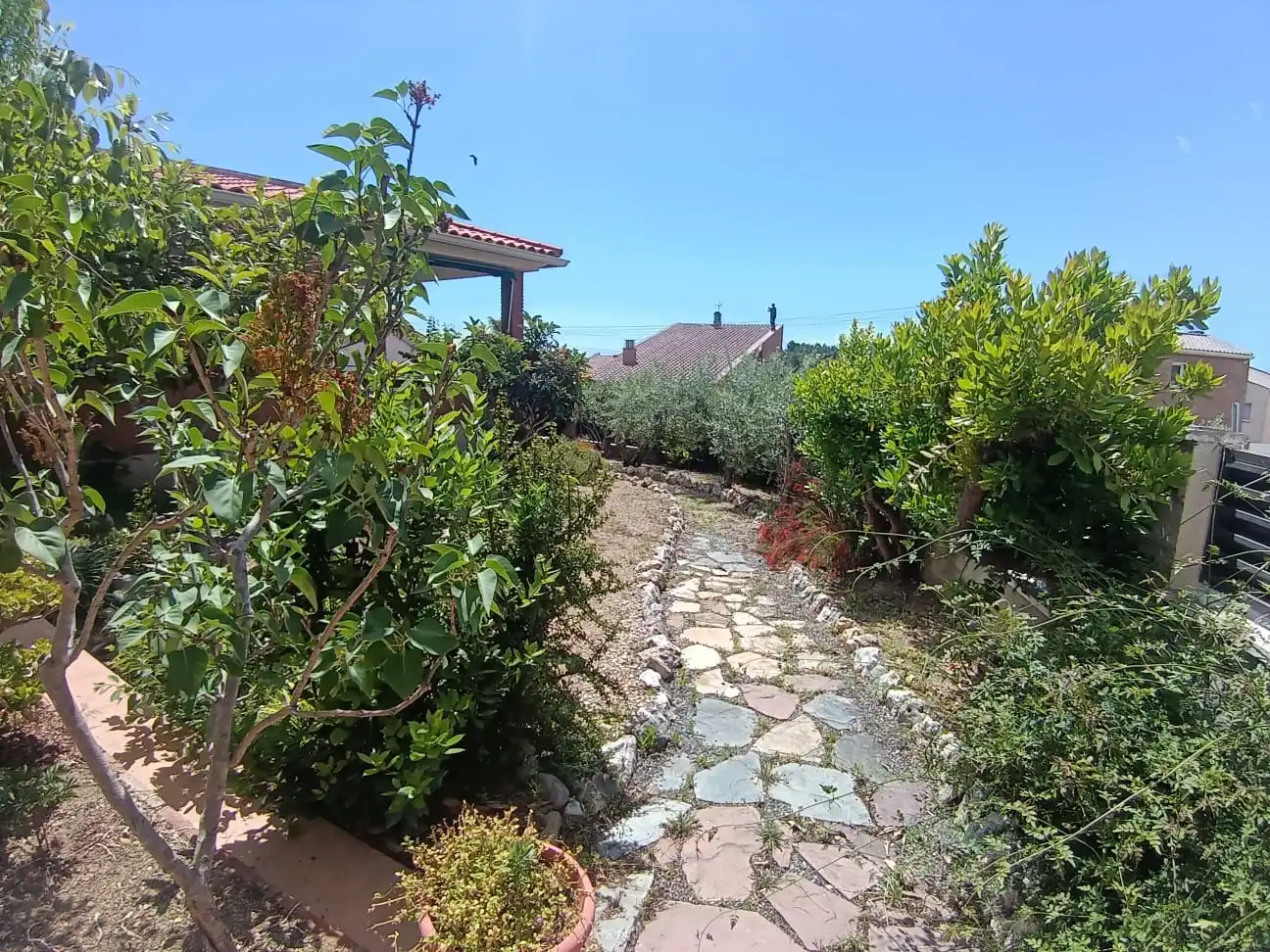 Jardín de Casa o chalet en venta en Castellvell del Camp con Terraza, Trastero y Balcón